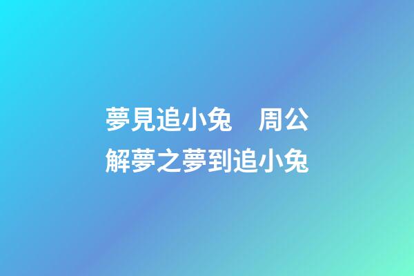 夢見追小兔　周公解夢之夢到追小兔